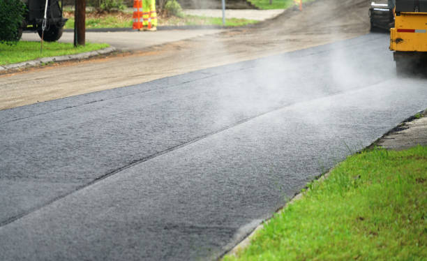 Best Professional Driveway Pavers  in Roman Forest, TX