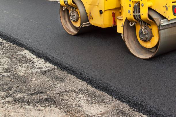 Best Professional Driveway Pavers  in Roman Forest, TX